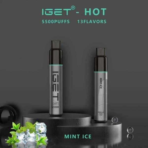 IGET HOT 5500 Puffs Mint Ice – product image 2