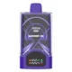 Picco Break 30000 Puffs - Blackberry Ice