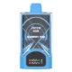Picco Break 30000 Puffs - Blueberry Kiwi
