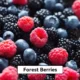 Relx Infinity Pod Gen6 2 pods pack - Forest Berries