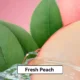 Relx Infinity Pod Gen6 2 pods pack - Fresh Peach