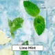 Relx Infinity Pod Gen6 2 pods pack - Lime Mint