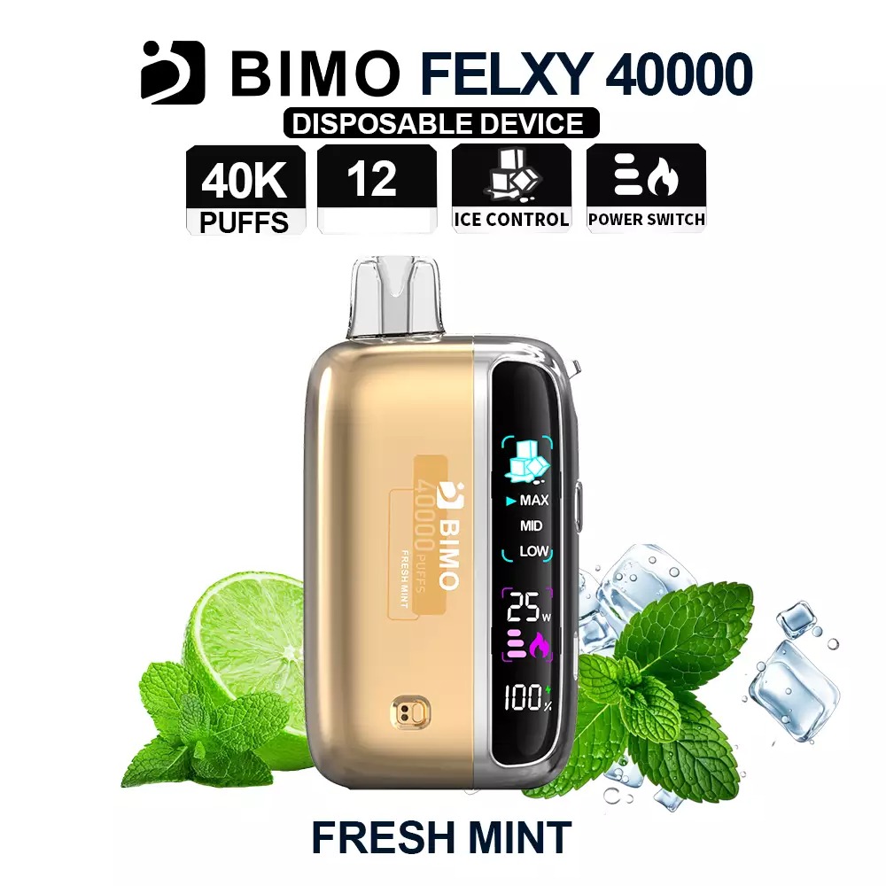 BIMO Felxy 40000 Kit - Fresh Mint