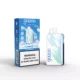GAZOO ICE 20000 Puffs - Blue Razz Ice
