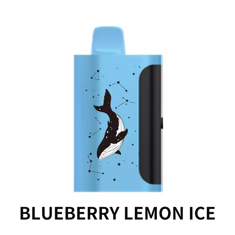 PICCO STAR 40000 Puffs - Blueberry Lemon Ice